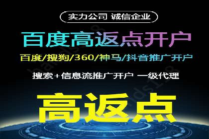 案例研究：百度竞价广告投放效果