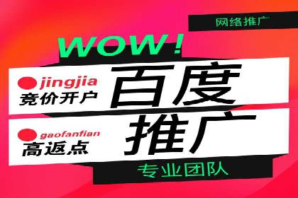 搜索引擎推广的佼佼者——百度搜索推广案例